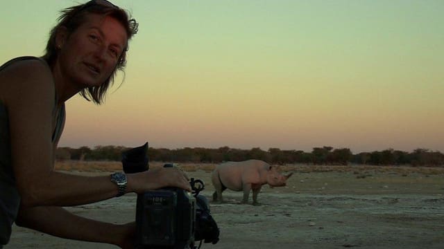Die Kamerafrau Justine Evans filmt in der Dämmerung ein Nashorn. Die Kamerafrau Justine Evans filmt in der Dämmerung ein Nashorn.