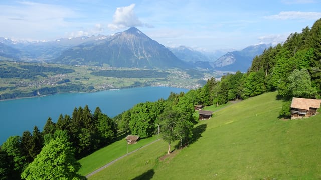 Blick von Beatenberg auf den Thunersee, dahinter der Niesen mit einer einzigen Quellwolke. Blick von Beatenberg auf den Thunersee, dahinter der Niesen mit einer einzigen Quellwolke.