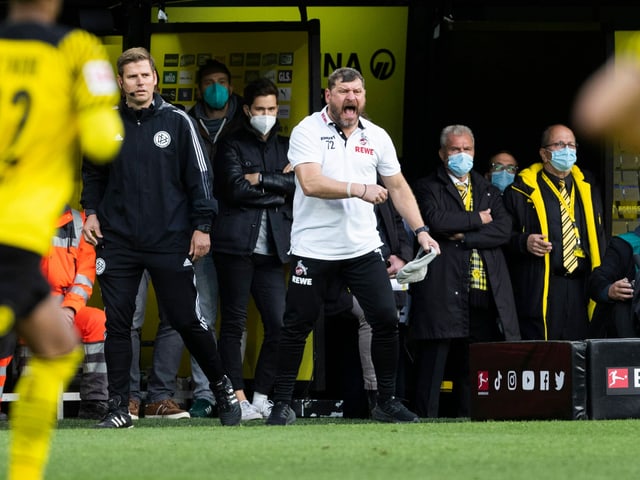 Köln-Trainer Steffen Baumgart.