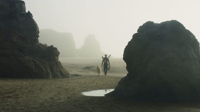 Robert Pattinson geht am Strand mit einem Hund. Robert Pattinson geht am Strand mit einem Hund.