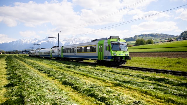 BLS-Zuge fährt an einer frisch gemähten Wiese vorbei. BLS-Zuge fährt an einer frisch gemähten Wiese vorbei.