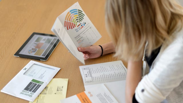 Eine Frau studiert die Wahlunterlagen- und Werbung Eine Frau studiert die Wahlunterlagen- und Werbung