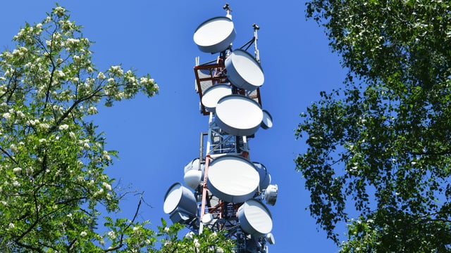Richtfunk Sendemast am Fernsehturm Müggelberge, umringt von Bäumen. Richtfunk Sendemast am Fernsehturm Müggelberge, umringt von Bäumen.