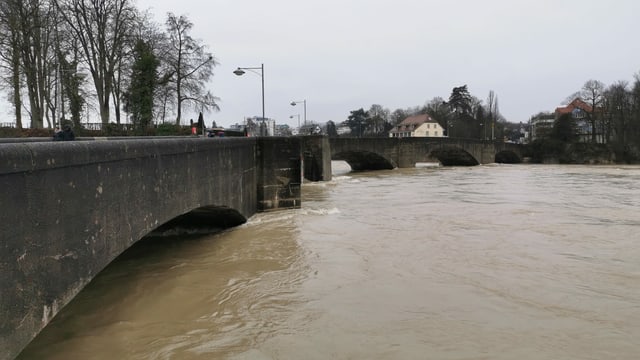 Der Rhein hatte Ende Januar Hochwasser Der Rhein hatte Ende Januar Hochwasser