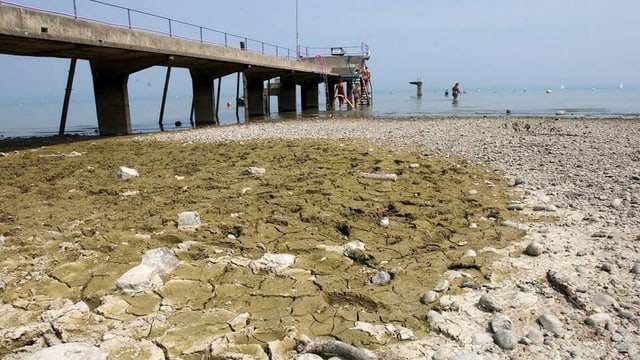 Trockenheit Bodensee im Jahr 2003 Trockenheit Bodensee im Jahr 2003