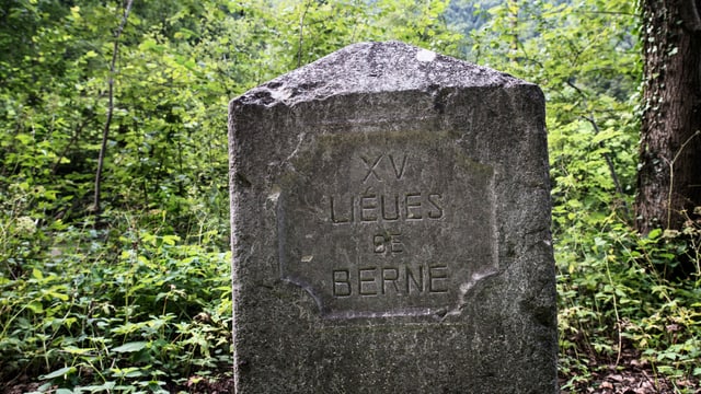 Grenzstein in einem Wald. Grenzstein in einem Wald.