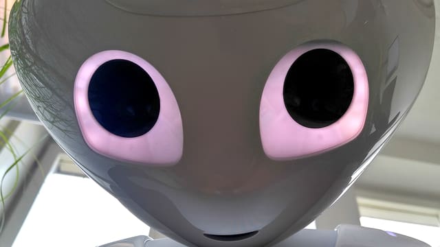 Das Gesicht von «Pepper». E.T.-like. Das Gesicht von «Pepper». E.T.-like.