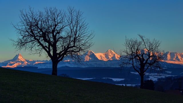 Am 26. Februar war es bis am Abend oft wolkenlos, wie hier in Deisswil. Am 26. Februar war es bis am Abend oft wolkenlos, wie hier in Deisswil.
