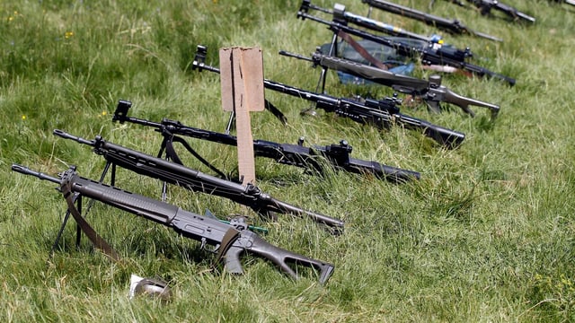 Gewehre liegen für die Kontrolle auf einer Wiese bereit. Gewehre liegen für die Kontrolle auf einer Wiese bereit.