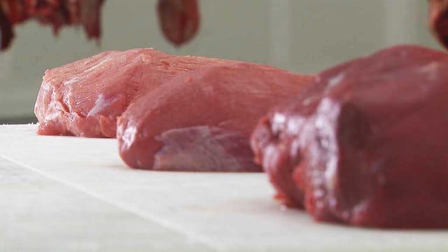 Fleisch Fleisch