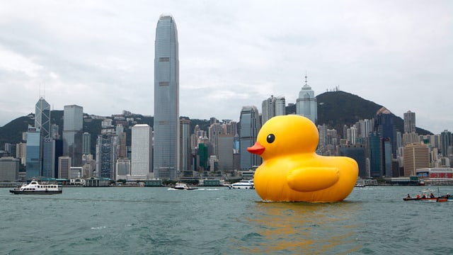 Eine übergrosse, aufblasbare Ente im Hafen von Hongkong Eine übergrosse, aufblasbare Ente im Hafen von Hongkong