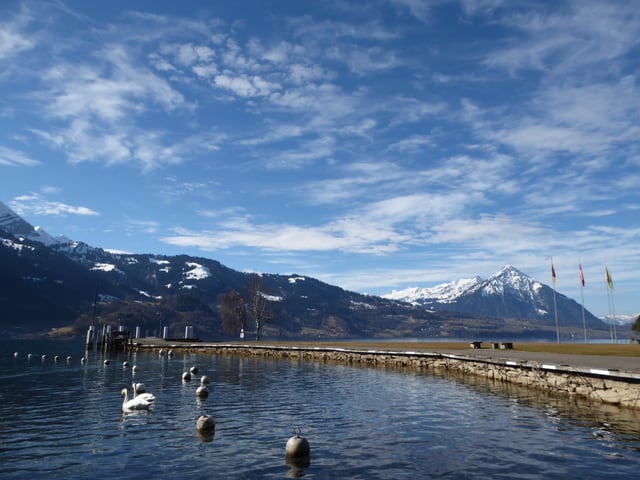 Blick über den Thunersee zum verschneiten Niesen. Der Himmel ist nur leicht bewölkt.
