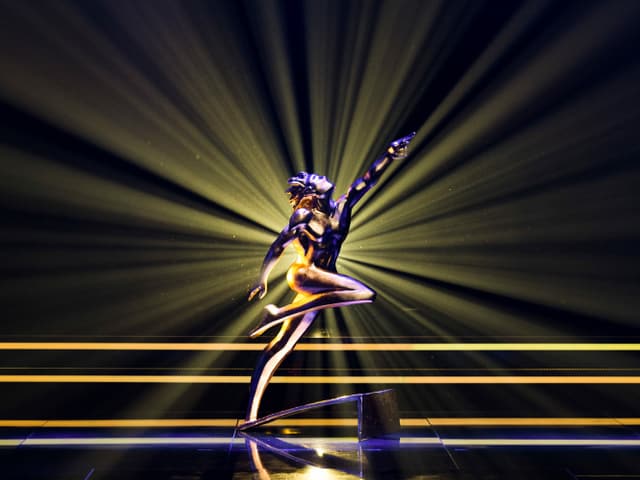 Der «Winner» für die jeweiligen Sieger und Siegerinnen in den diversen Kategorien. Der «Winner» für die jeweiligen Sieger und Siegerinnen in den diversen Kategorien.