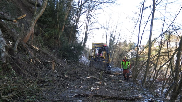 Waldweg mit Ästen am Boden, Bagger dahinter, Mann in farbiger Kleidung. Waldweg mit Ästen am Boden, Bagger dahinter, Mann in farbiger Kleidung.