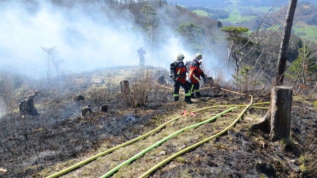 Feuerwehr beim Löschen. Feuerwehr beim Löschen.