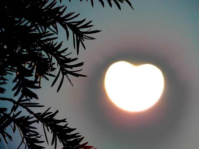 Sonne mit einem Buck