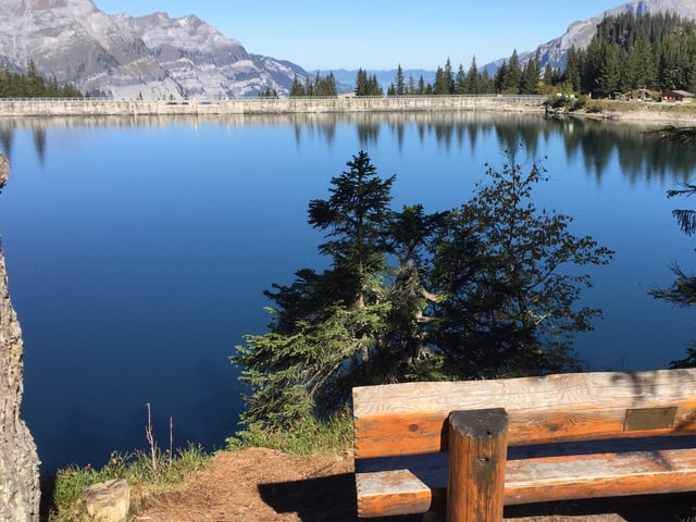 Blick von einer Parkbank auf den See.
