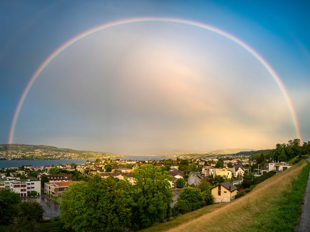 Regenbogen über dem Zürichsee