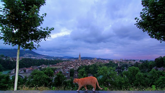Schon am frühen Morgen waren die Wolken über Bern bedrohlich. Schon am frühen Morgen waren die Wolken über Bern bedrohlich.