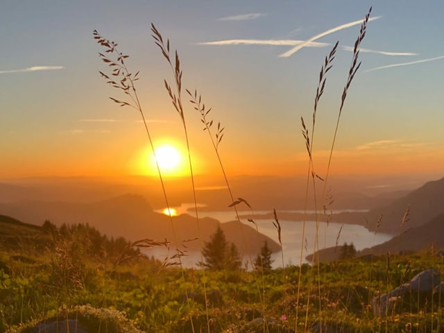 Sonnenuntergang auf der Alp Tritt.