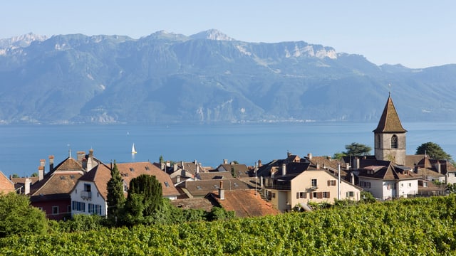 Eine Waadtländer Gemeinde im Lavaux am Genfersee. Eine Waadtländer Gemeinde im Lavaux am Genfersee.