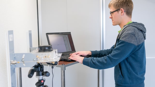 Eine Person an einem Laptop. Eine Person an einem Laptop.