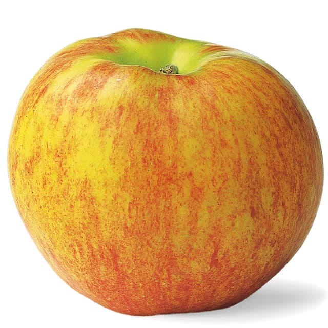 Apfel Die Top 10 der beliebtesten Schweizer Apfelsorten
