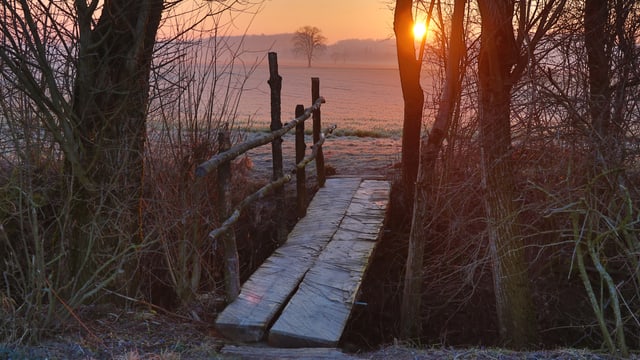 Vereister Holzsteg am Samstagmorgen im Lmpachtal. Vereister Holzsteg am Samstagmorgen im Lmpachtal.