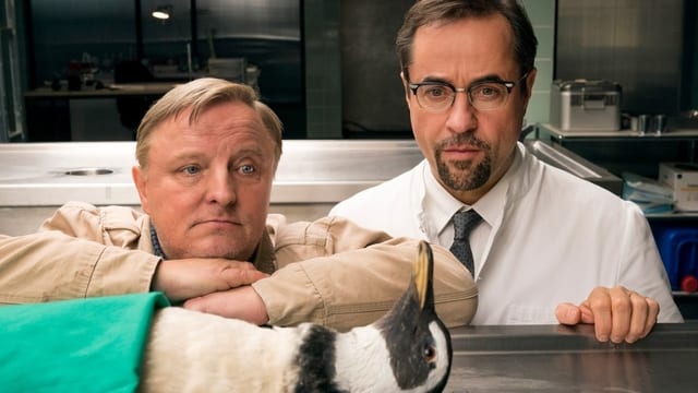 Video «Schlangengrube» abspielen Video «Schlangengrube» abspielen