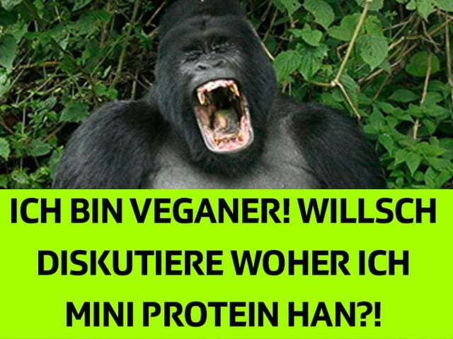 Auch Gorillas beziehen ihre Proteine aus Pflanzen Auch Gorillas beziehen ihre Proteine aus Pflanzen