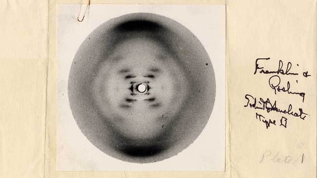 x-förmige Struktur des DNA-Moleküls x-förmige Struktur des DNA-Moleküls