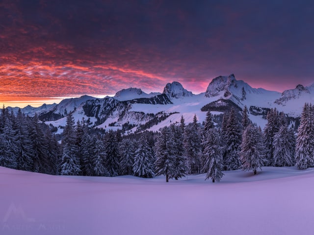 Violetter Himmel über einer Schneelandschaft.