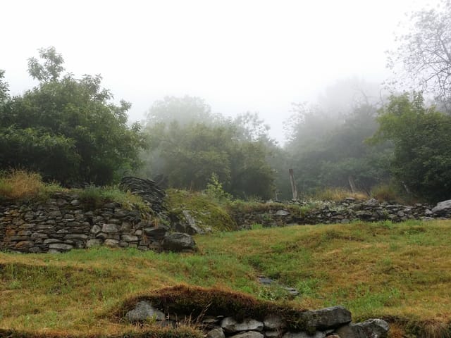 Die bergige Landschaft mit Steinmauern und grünen Wiesen
