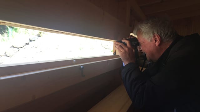 Mann schaut durch einen kleinen Spalt in einer Holzhütte Mann schaut durch einen kleinen Spalt in einer Holzhütte