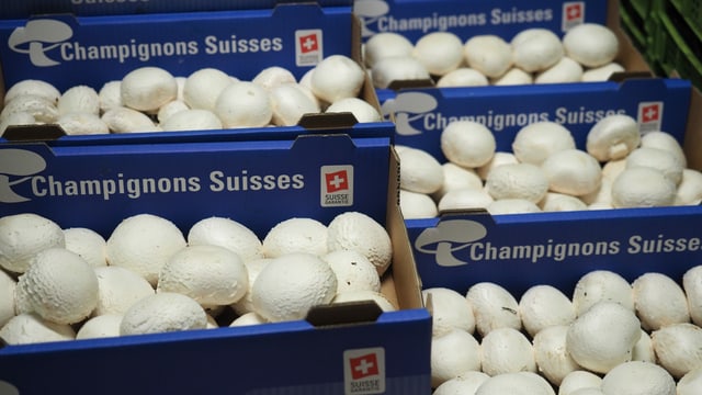 Blaue Schachleln mit weissen Champignons im Kühllager. Blaue Schachleln mit weissen Champignons im Kühllager.