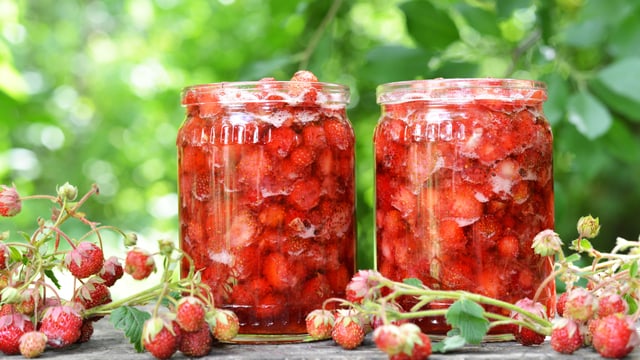 Zwei Einmachgläser sind randvoll mit Erdbeermarmelade gefüllt. Im Vordergrund liegen Walderdbeeren. Zwei Einmachgläser sind randvoll mit Erdbeermarmelade gefüllt. Im Vordergrund liegen Walderdbeeren.
