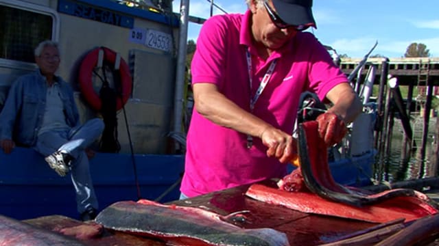 Ein Mann schneidet filetiert einen Lachs am Hafen. Ein Mann schneidet filetiert einen Lachs am Hafen.