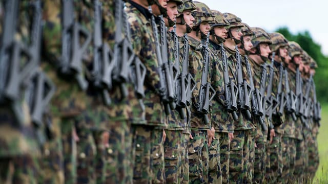 Soldaten stehen aufgereiht. Soldaten stehen aufgereiht.