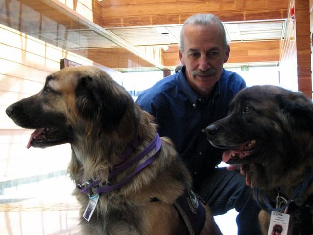 Don Eigler mit zwei Hunden. Don Eigler mit zwei Hunden.