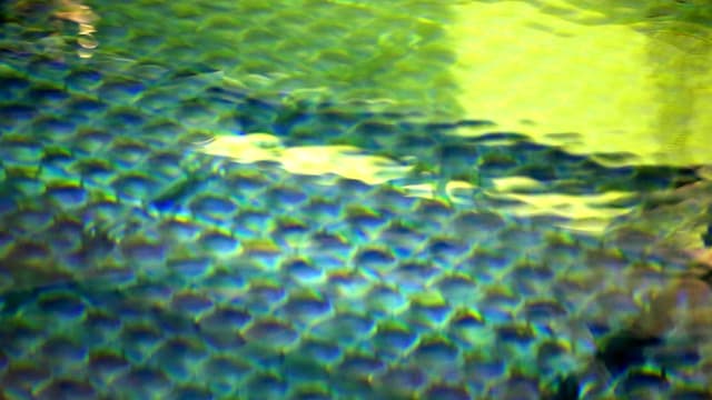 Blick in ein Abklingbecken des Kühlsystems von Reaktor 3 in Fukushima. Blick in ein Abklingbecken des Kühlsystems von Reaktor 3 in Fukushima.