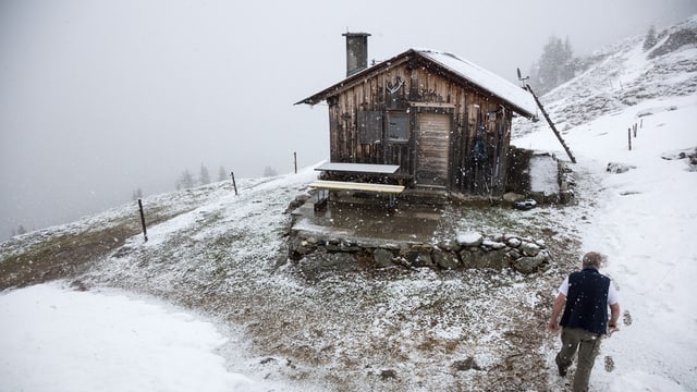 Schnee Alp Schnee Alp