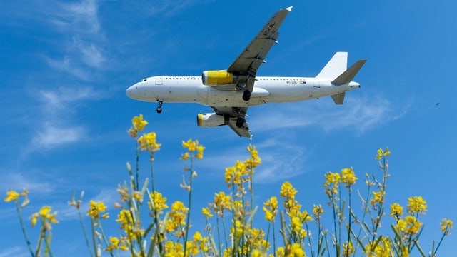 Ein Flugzeug Ein Flugzeug