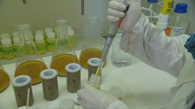 Labor mit Flaschen im Hintergrund. Eine Laborantin arbeitet mit einer Pipette. Labor mit Flaschen im Hintergrund. Eine Laborantin arbeitet mit einer Pipette.