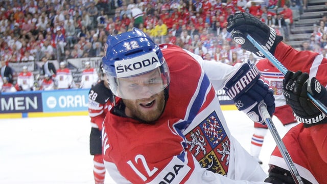 Jiri Novotny. Jiri Novotny.