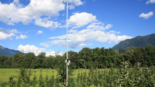 Wetterstation vom Typ Davis im Maggiadelta. Wetterstation vom Typ Davis im Maggiadelta.