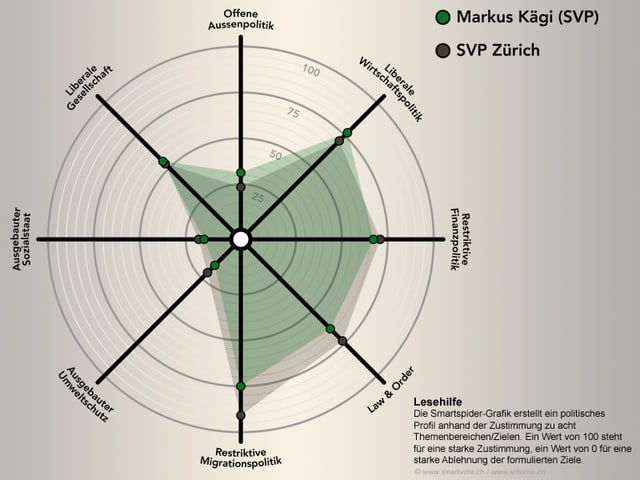 Die Smartspider von Markus Kägi. Die Smartspider von Markus Kägi.