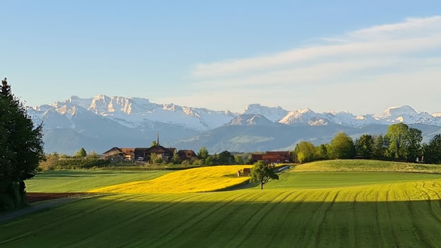 Blick von Seegräben Richtung Alpen. Blick von Seegräben Richtung Alpen.
