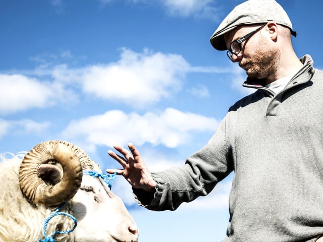 Links der Kopf eines weissen Schafbocks, rechts ein Mann, der den Bock mit der Hand beschwichtigt. Links der Kopf eines weissen Schafbocks, rechts ein Mann, der den Bock mit der Hand beschwichtigt.
