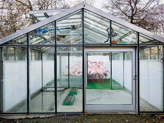 Anthony Anex: «Vogelgrippe». Anthony Anex: «Vogelgrippe».