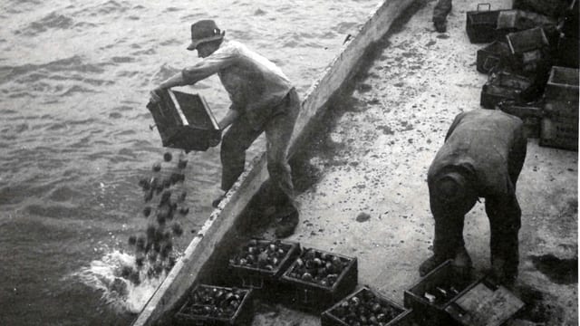 Man entsorgt Munition im See. Schwarz-Weiss-Aufnahme. Man entsorgt Munition im See. Schwarz-Weiss-Aufnahme.